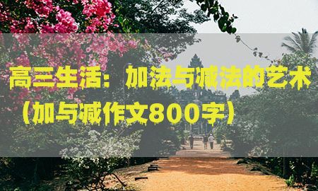 高三生活：加法与减法的艺术（加与减作文800字）